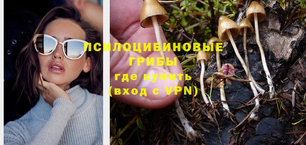 твердый Вязьма