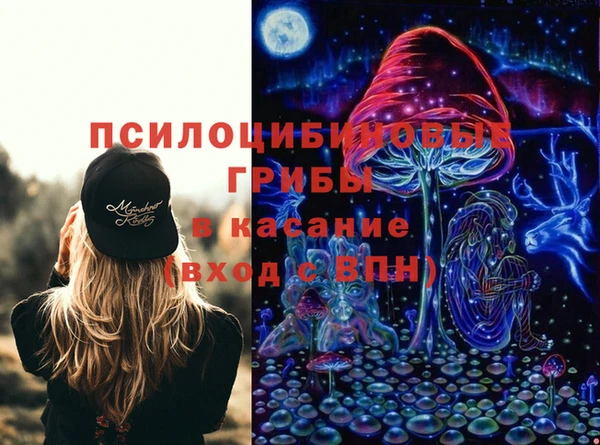 ECSTASY Вяземский