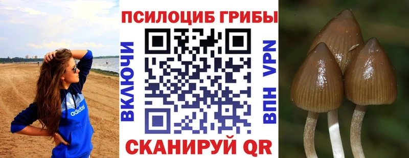 Галлюциногенные грибы мухоморы  Норильск 